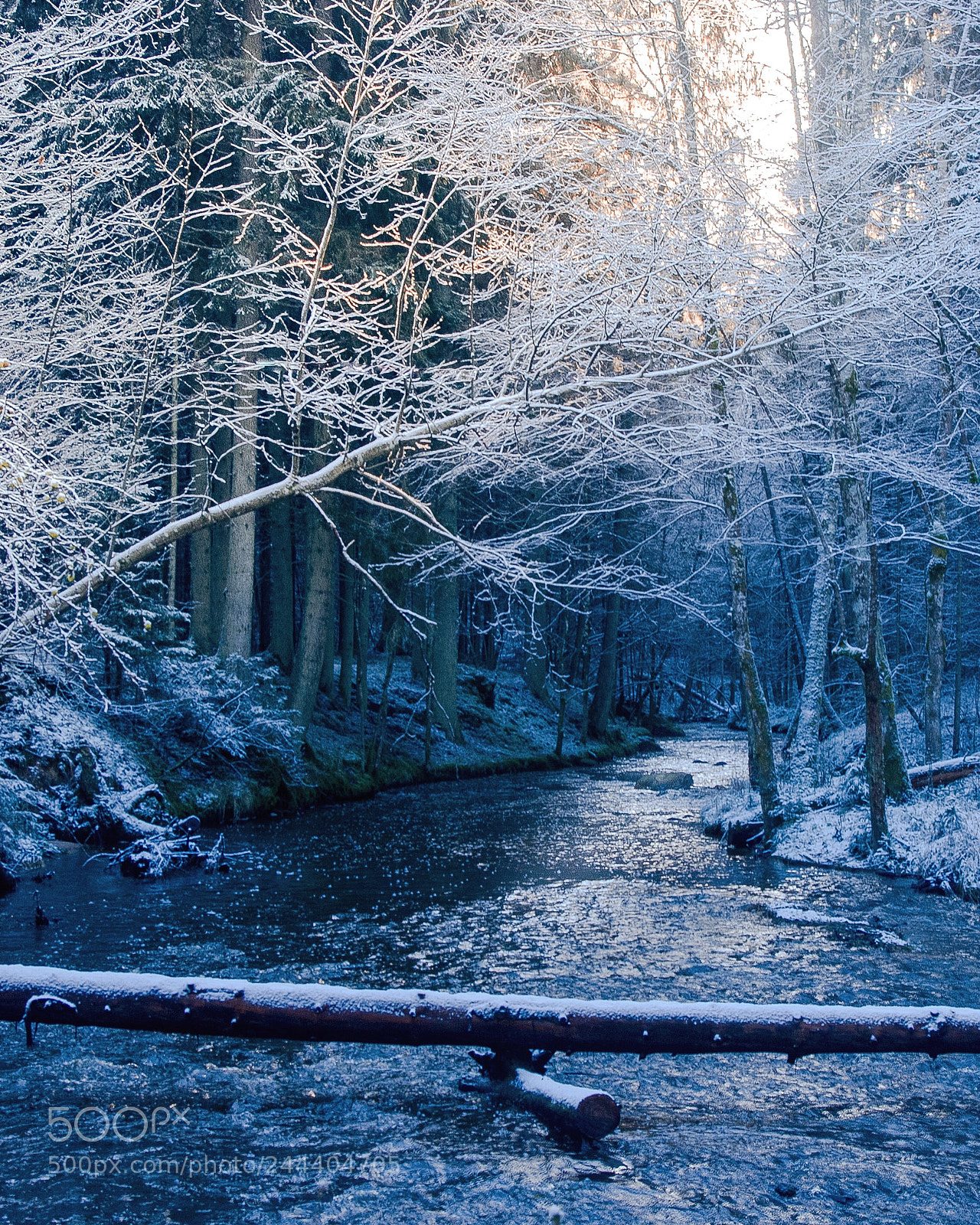 Pentax K-x sample photo. Fresh wintery morning photography