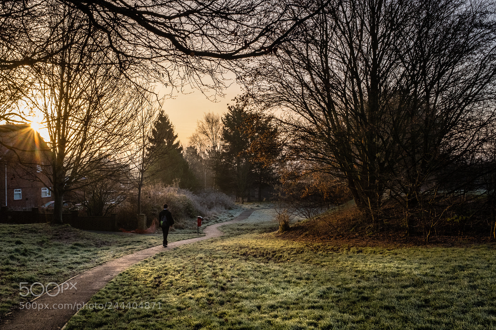 Fujifilm X100F sample photo. Winter walk photography