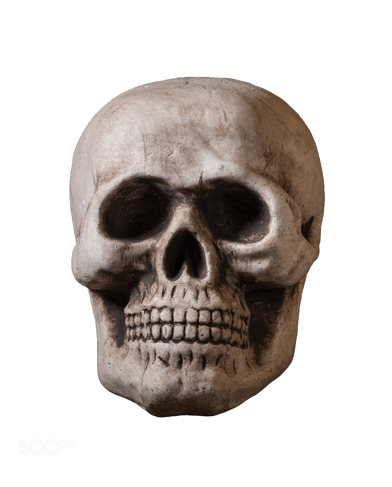 Sony a7R II sample photo. Isolated skull against white photography
