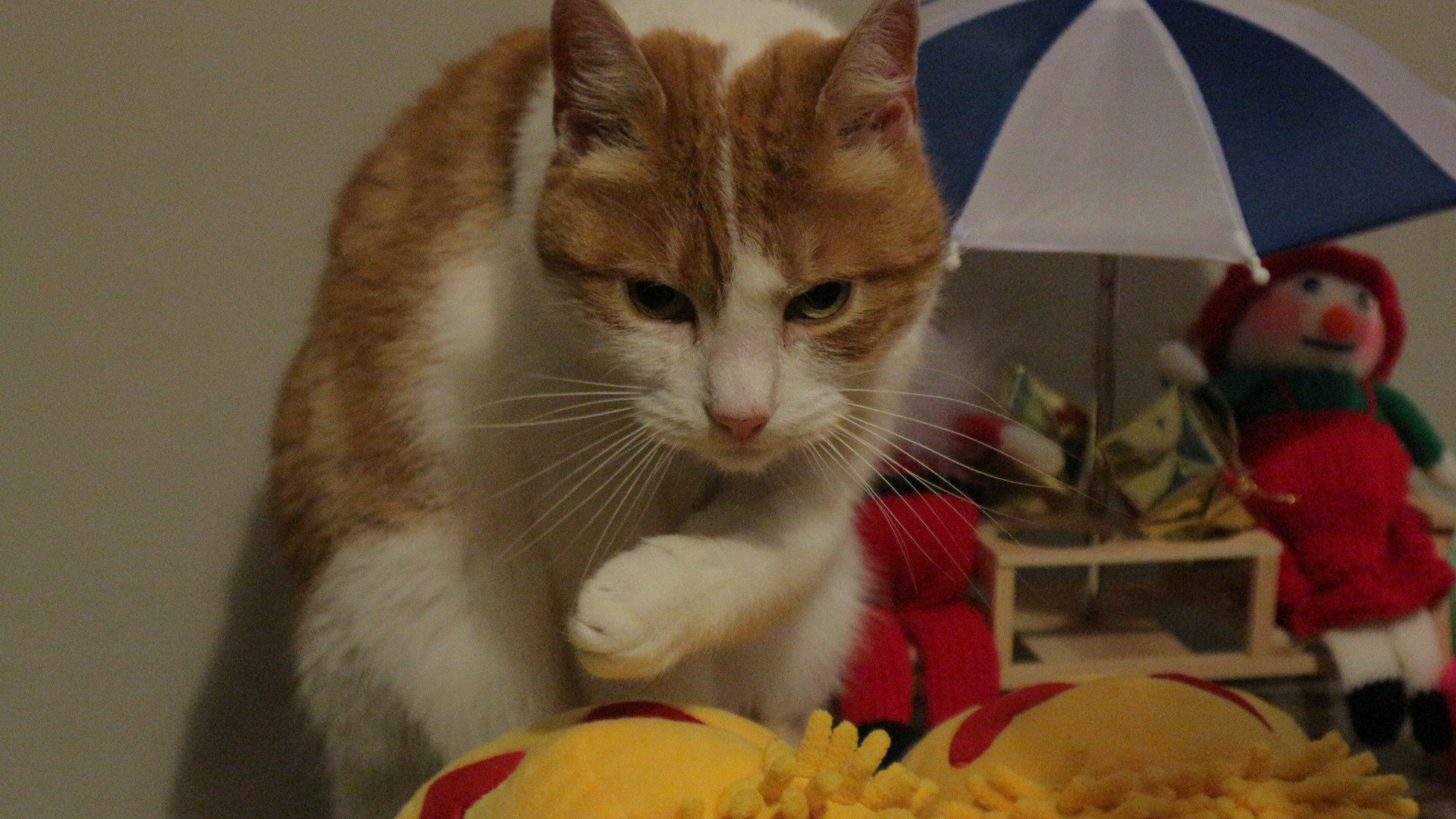 Canon EOS M10 sample photo