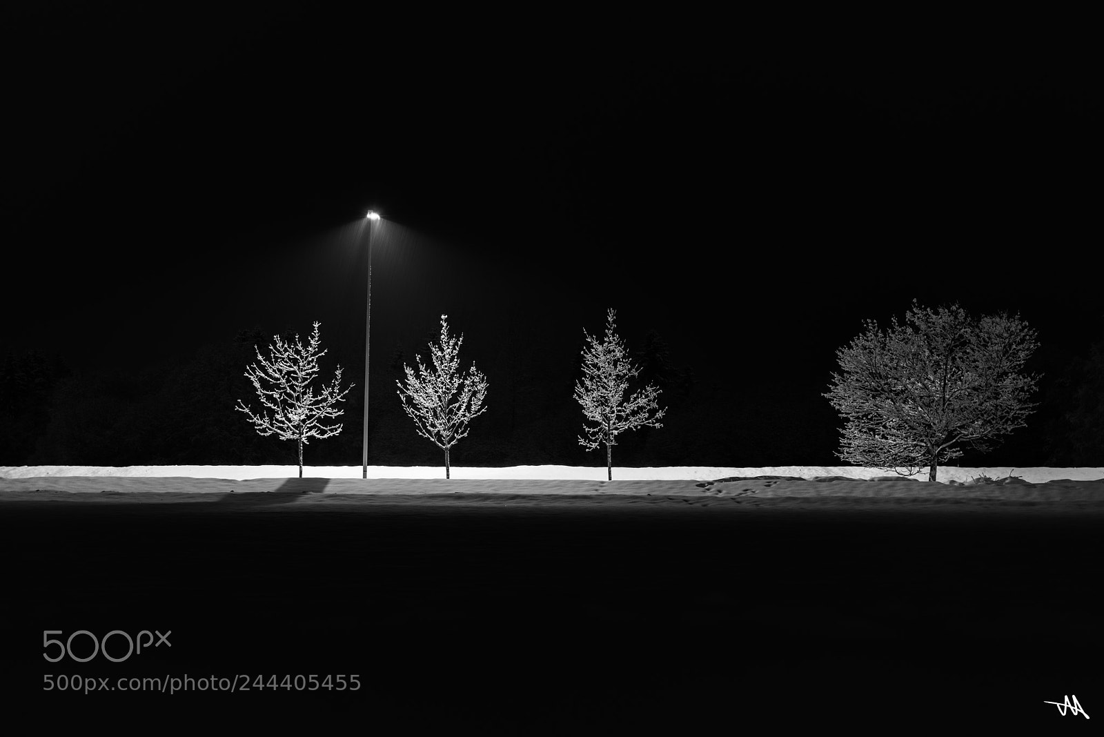 Nikon D810 sample photo. Illuminated tree, four..... photography