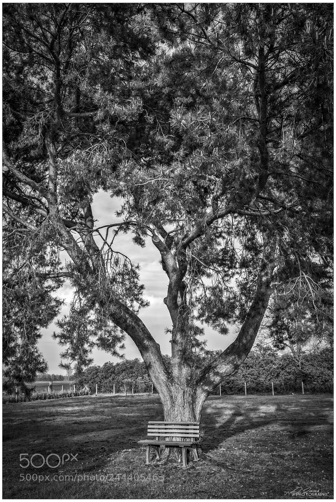 Leica M Monochrom (Typ 246) sample photo. Please sit down photography