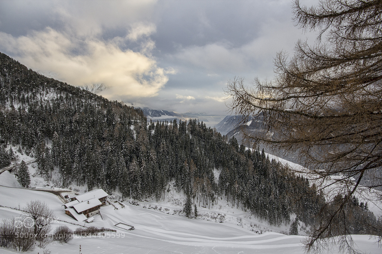 Canon EOS 60D sample photo. Jpg photography