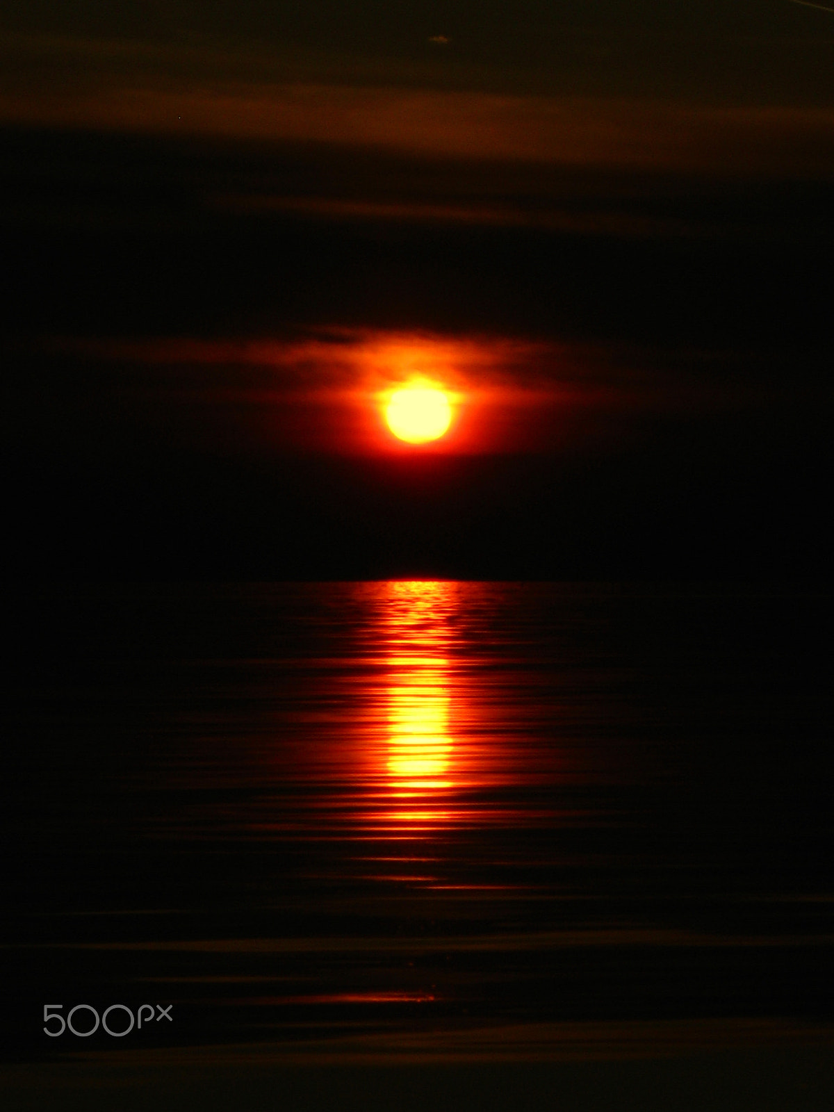 Canon PowerShot A590 IS sample photo. () photography