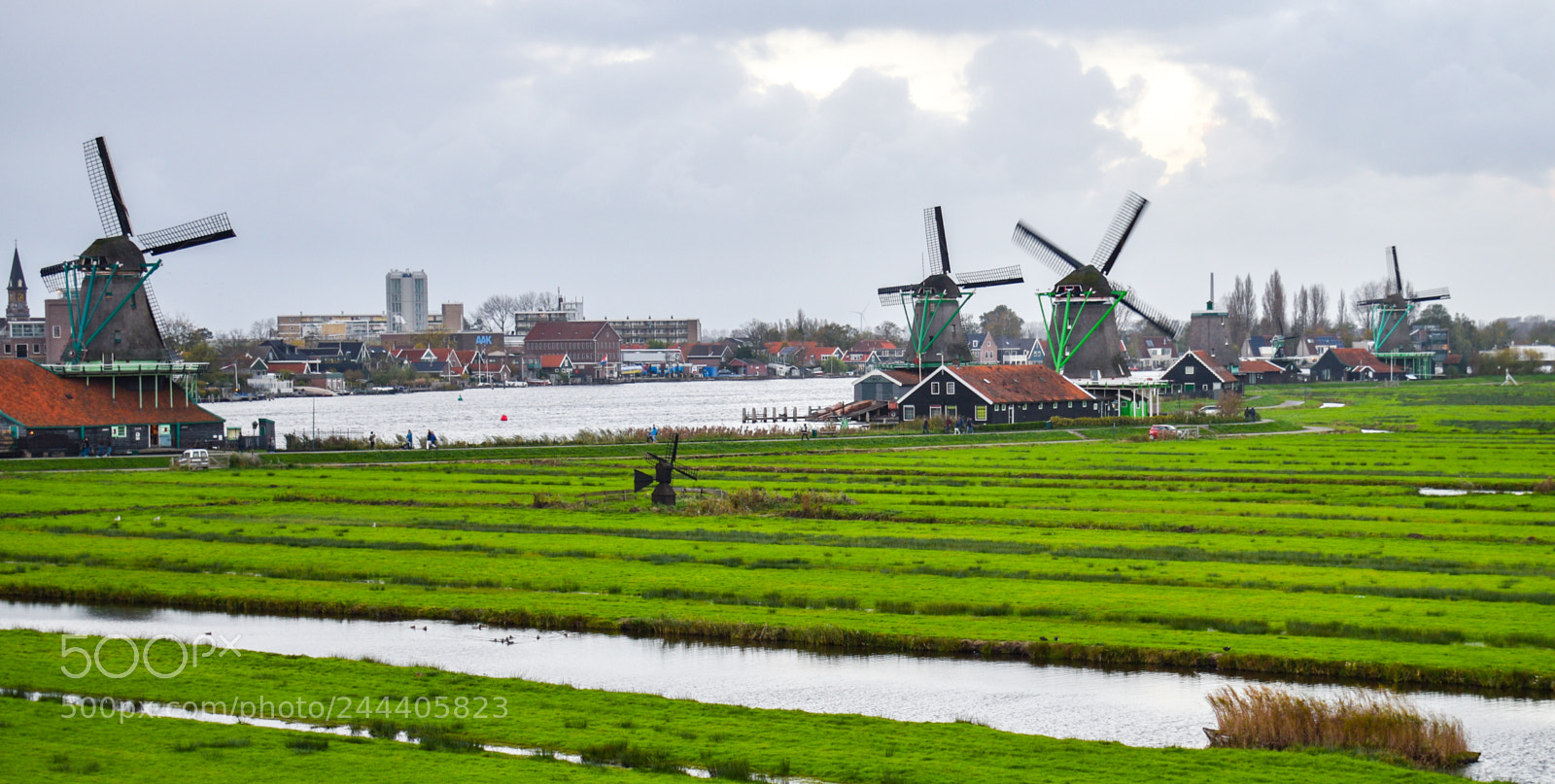Nikon D5600 sample photo. Mkk_2810-2.jpg photography