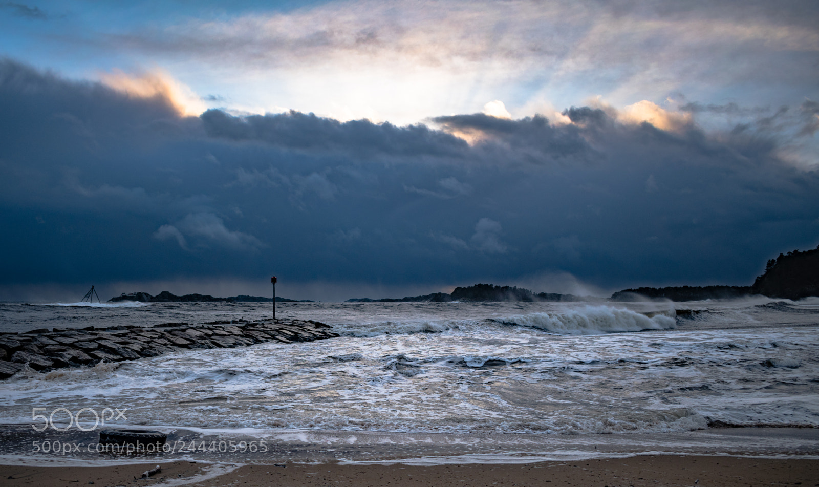 Nikon D5600 sample photo. Mkk_3678-3.jpg photography