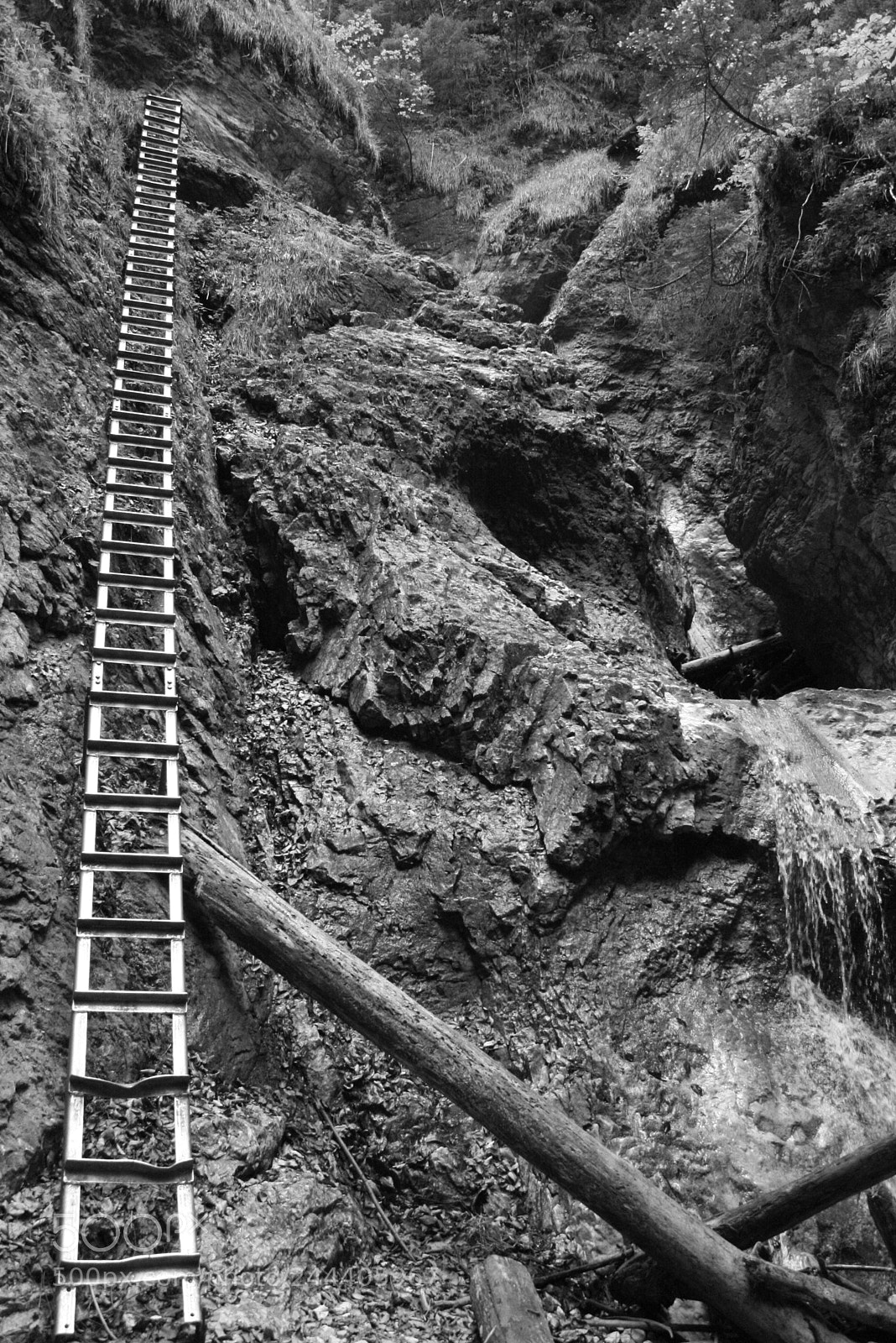 Canon EOS 400D (EOS Digital Rebel XTi / EOS Kiss Digital X) sample photo. Stairway to ...? photography