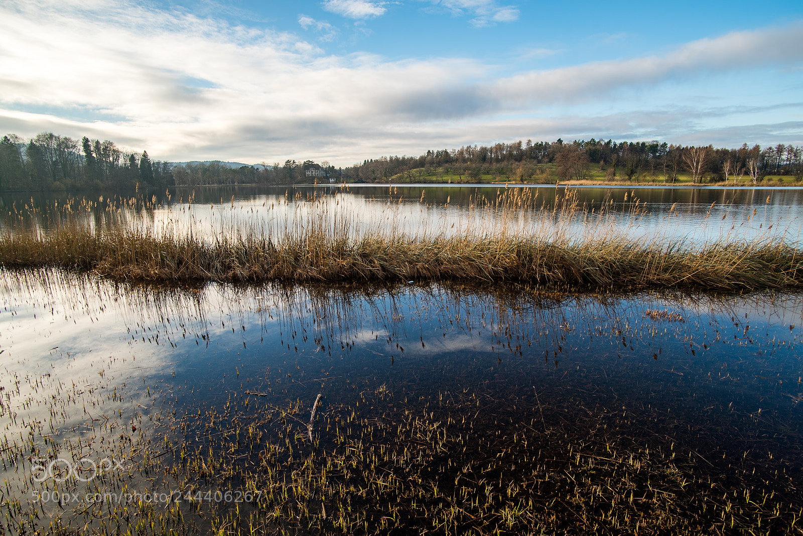 Sony a7S sample photo. Katzensee photography