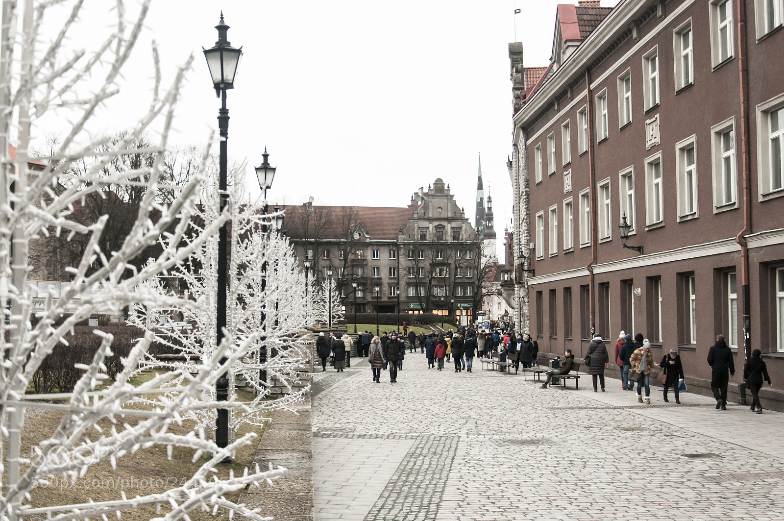 Nikon D90 sample photo. Tallinn, ordinary day photography