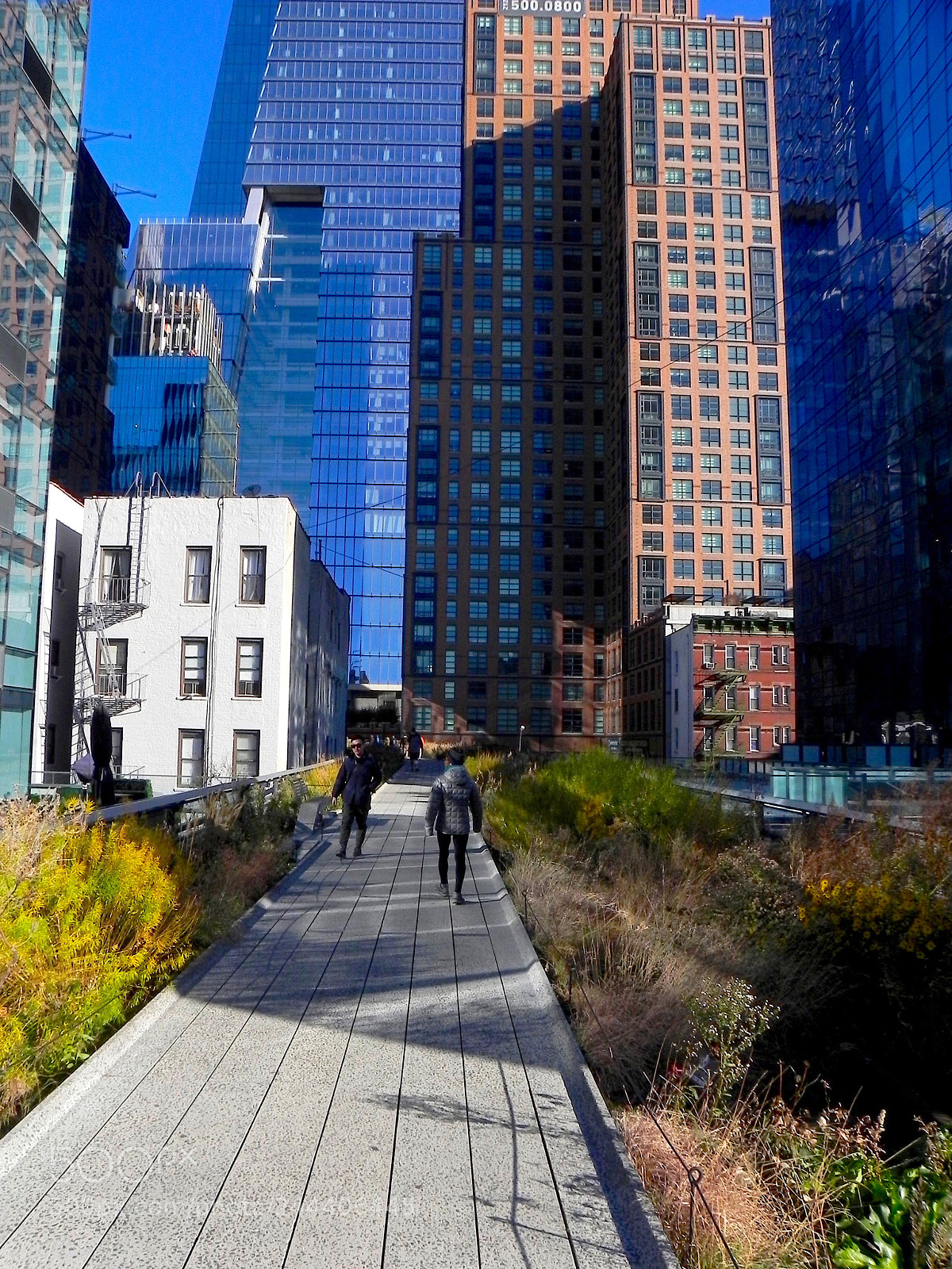 Nikon Coolpix P100 sample photo. New york high line photography