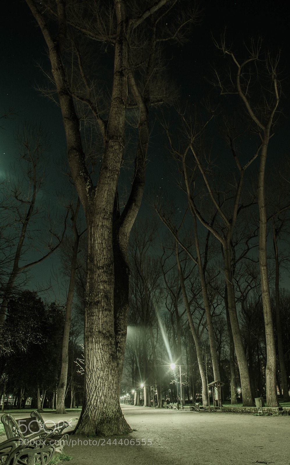 Nikon D3200 sample photo. Guardianes photography