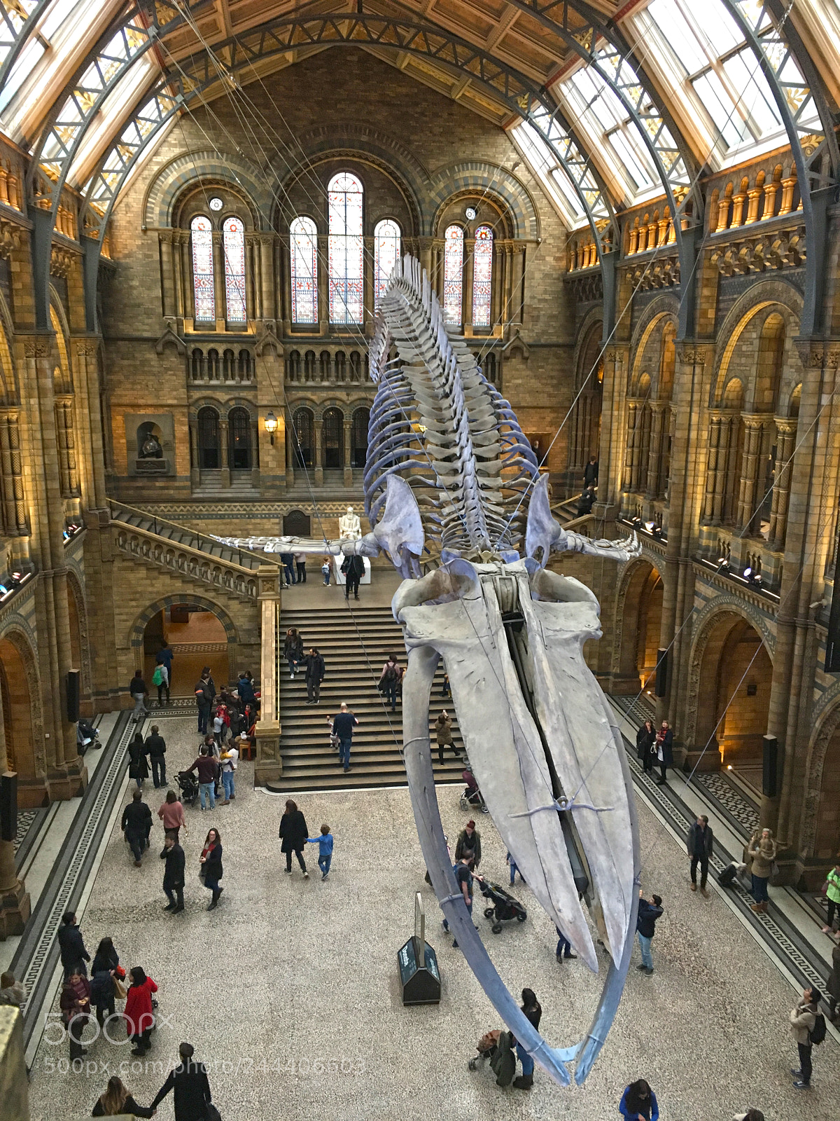 Apple iPhone SE sample photo. Natural history museum photography