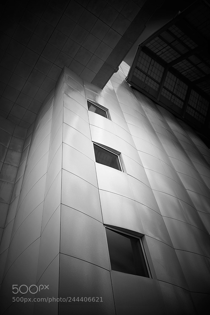 Fujifilm X100F sample photo. Windows web photography