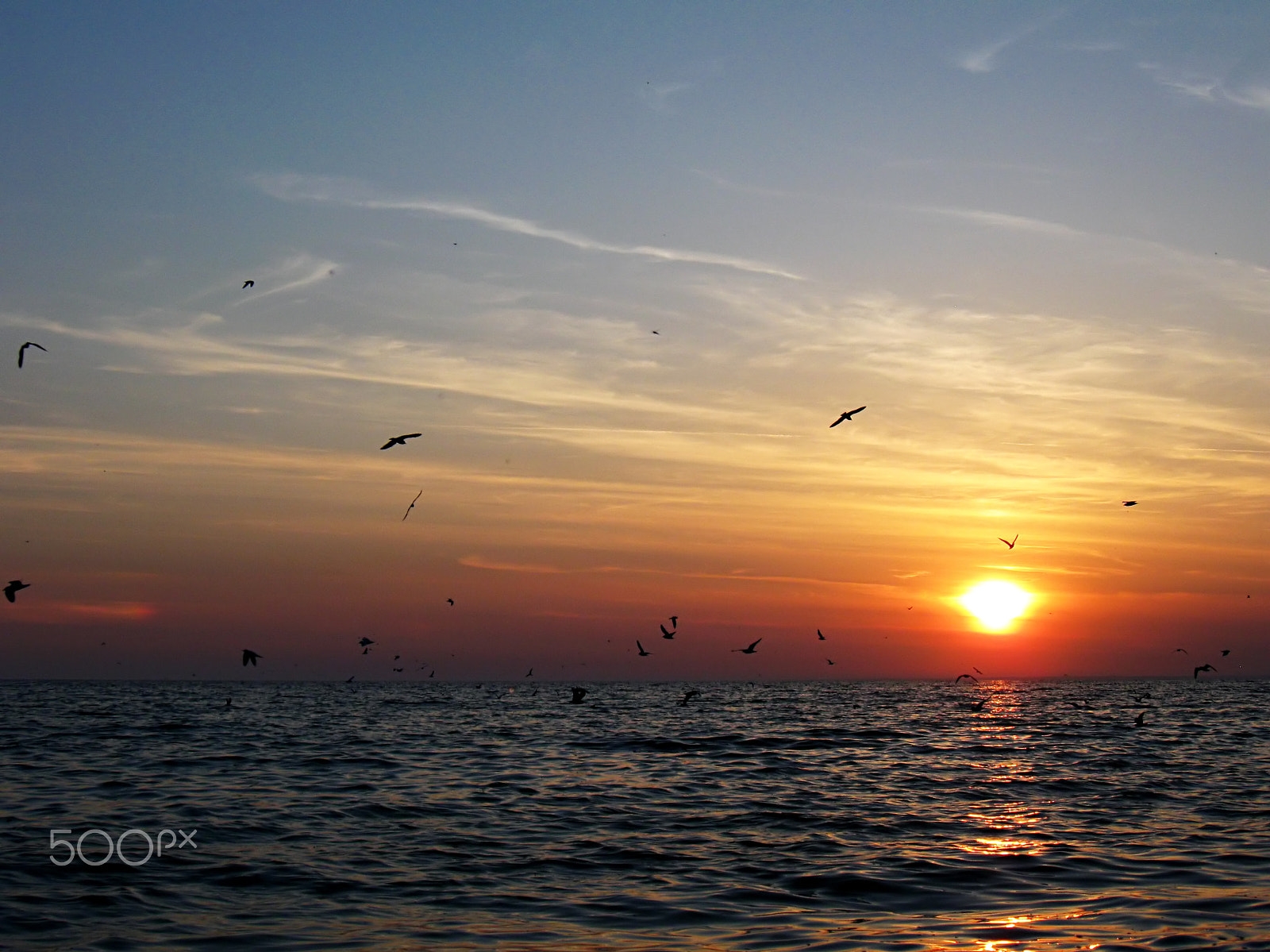 Canon PowerShot A590 IS sample photo. () photography