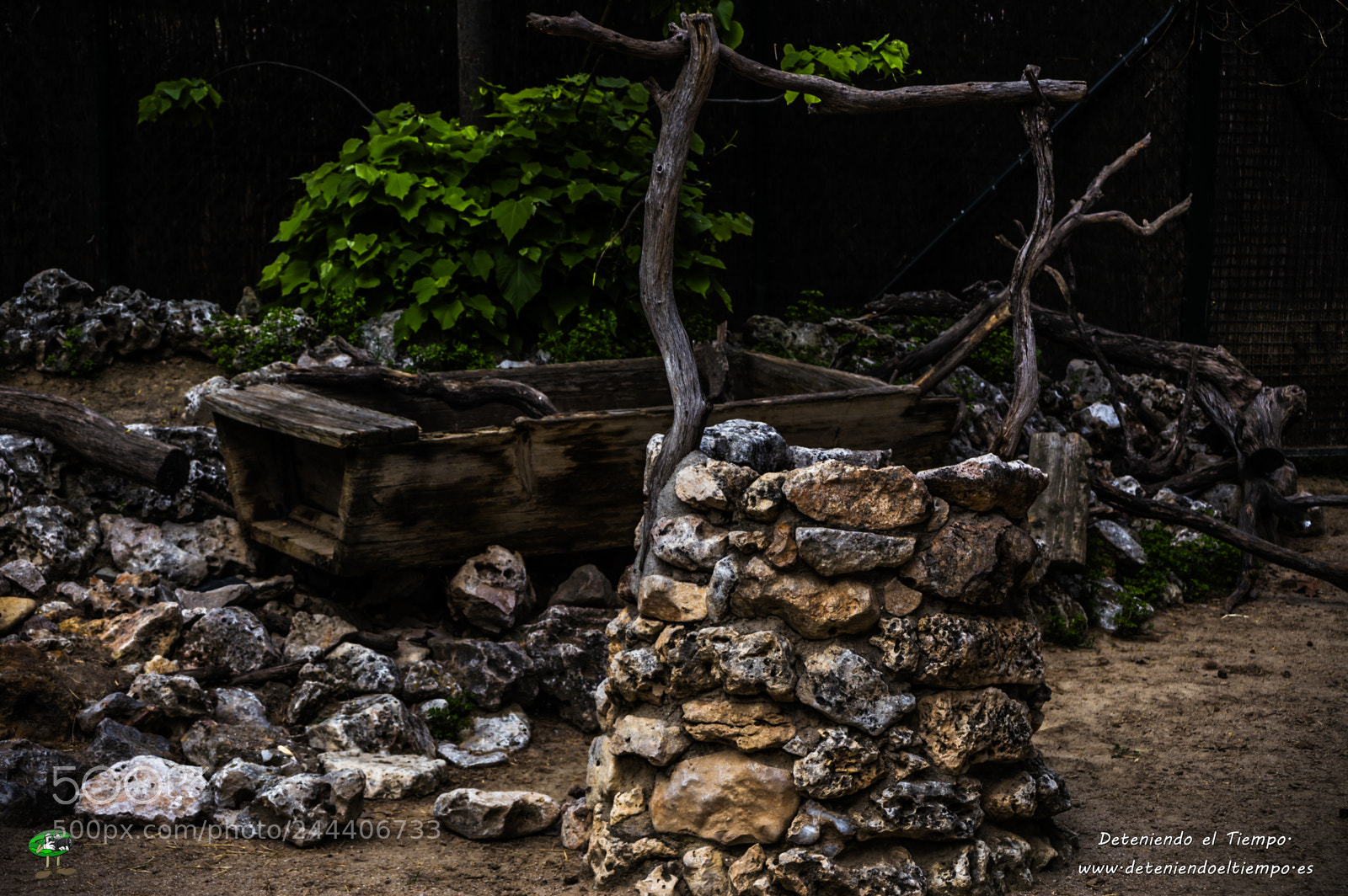 Nikon D3200 sample photo. Animales photography