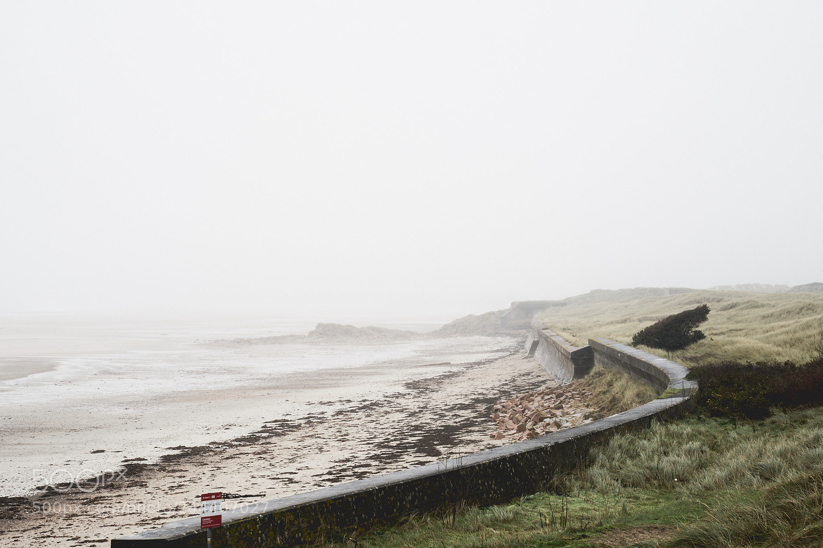 Sony a7R II sample photo. Day thirty photography