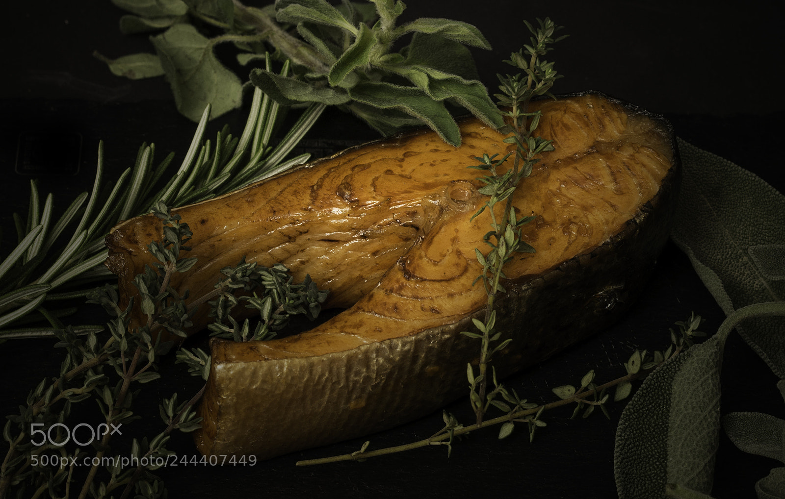 Nikon D800E sample photo. Fisch lachs photography