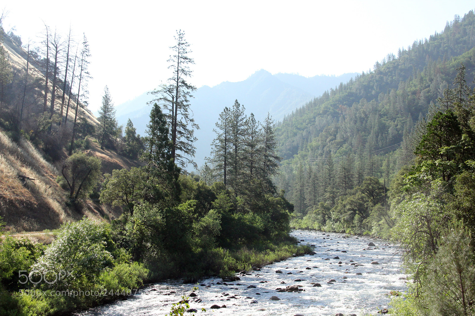Canon EOS 60D sample photo. Early morning on the photography