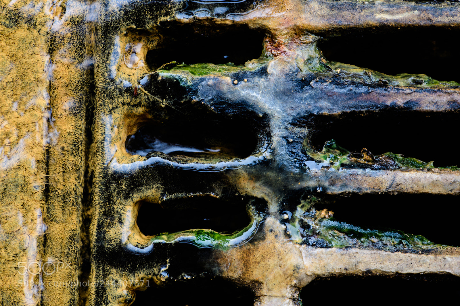 Nikon D500 sample photo. Drainage photography