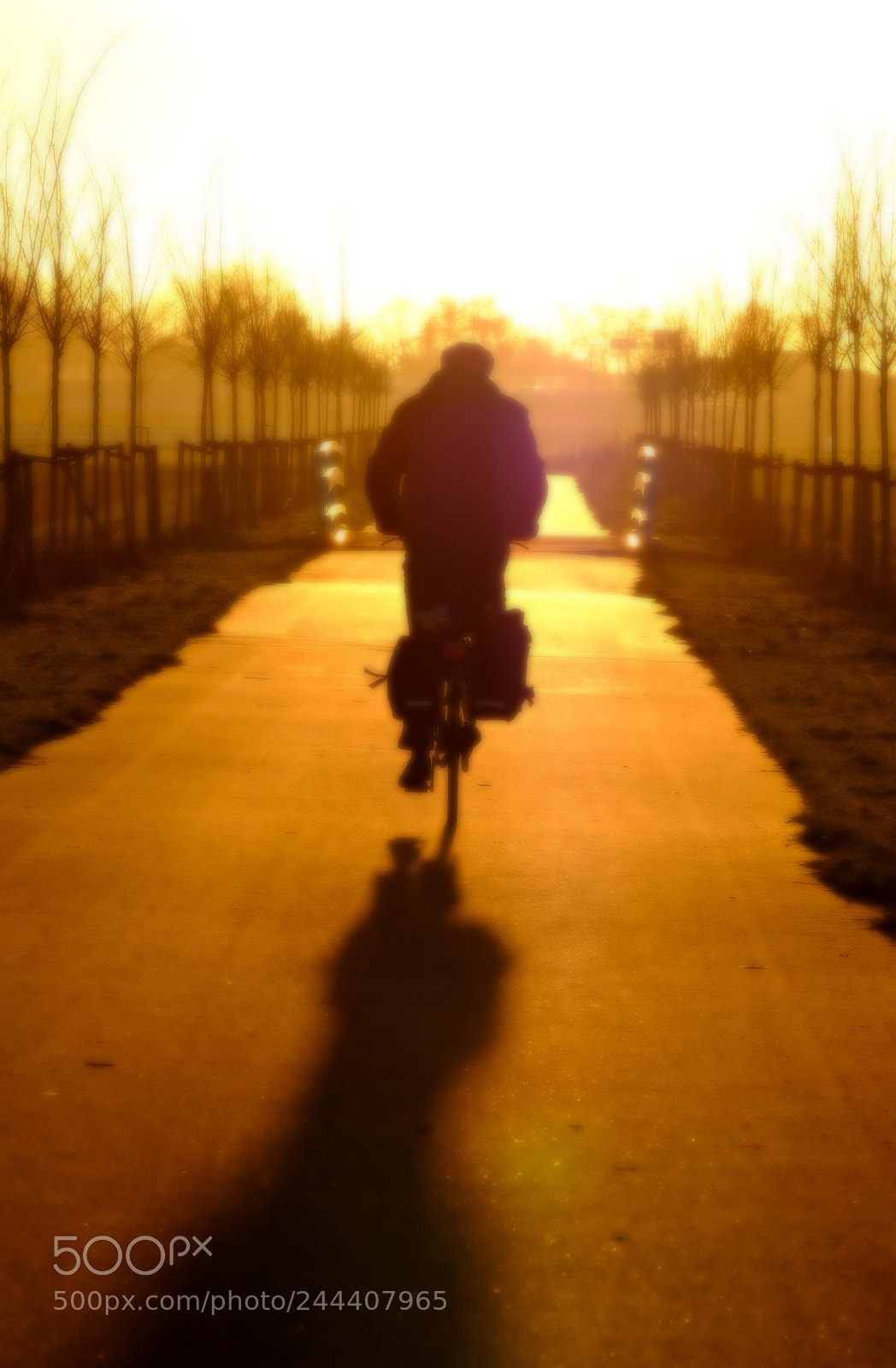Fujifilm X-T2 sample photo. Lonely biker photography