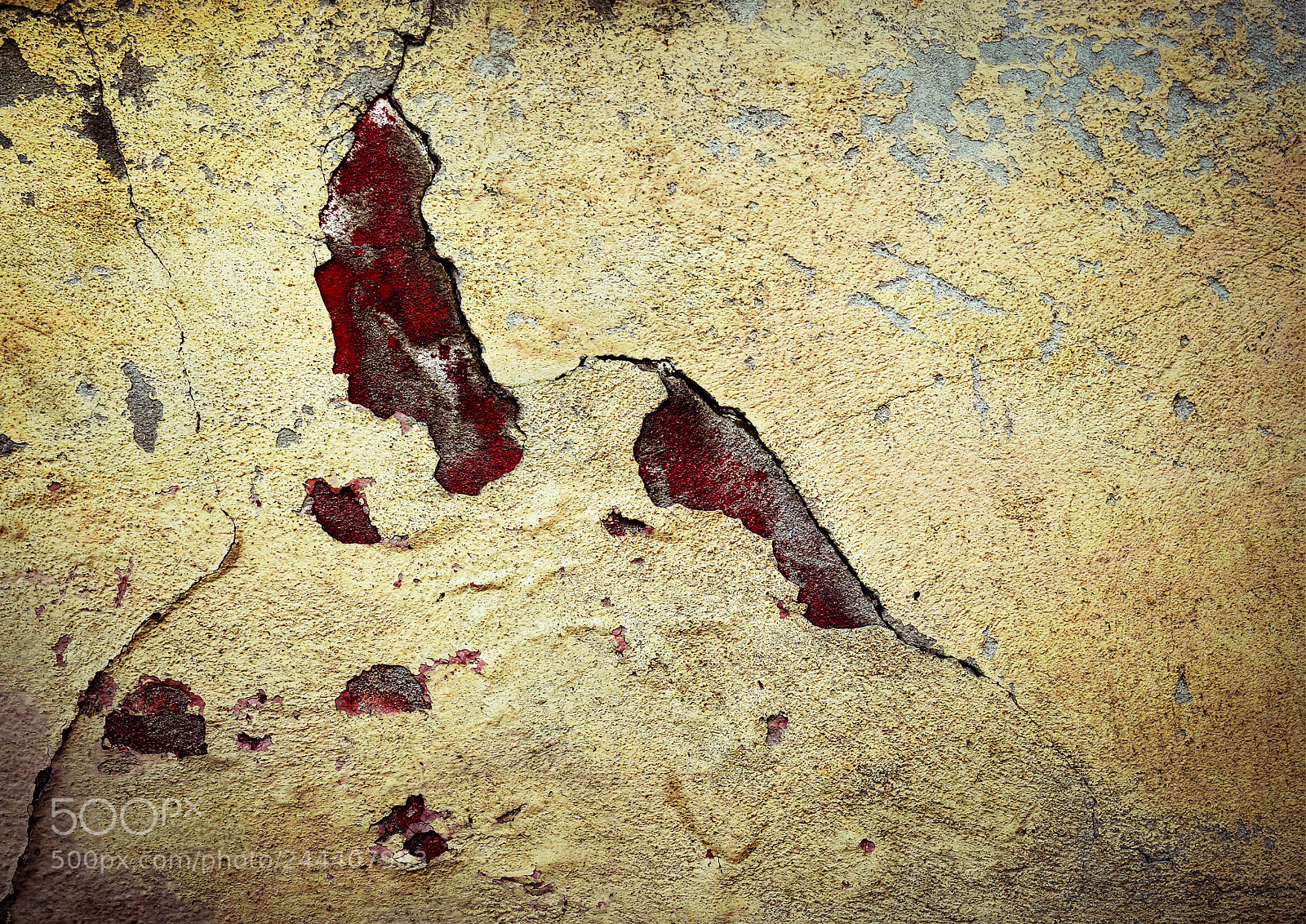 Nikon D5500 sample photo. Detail of the old photography