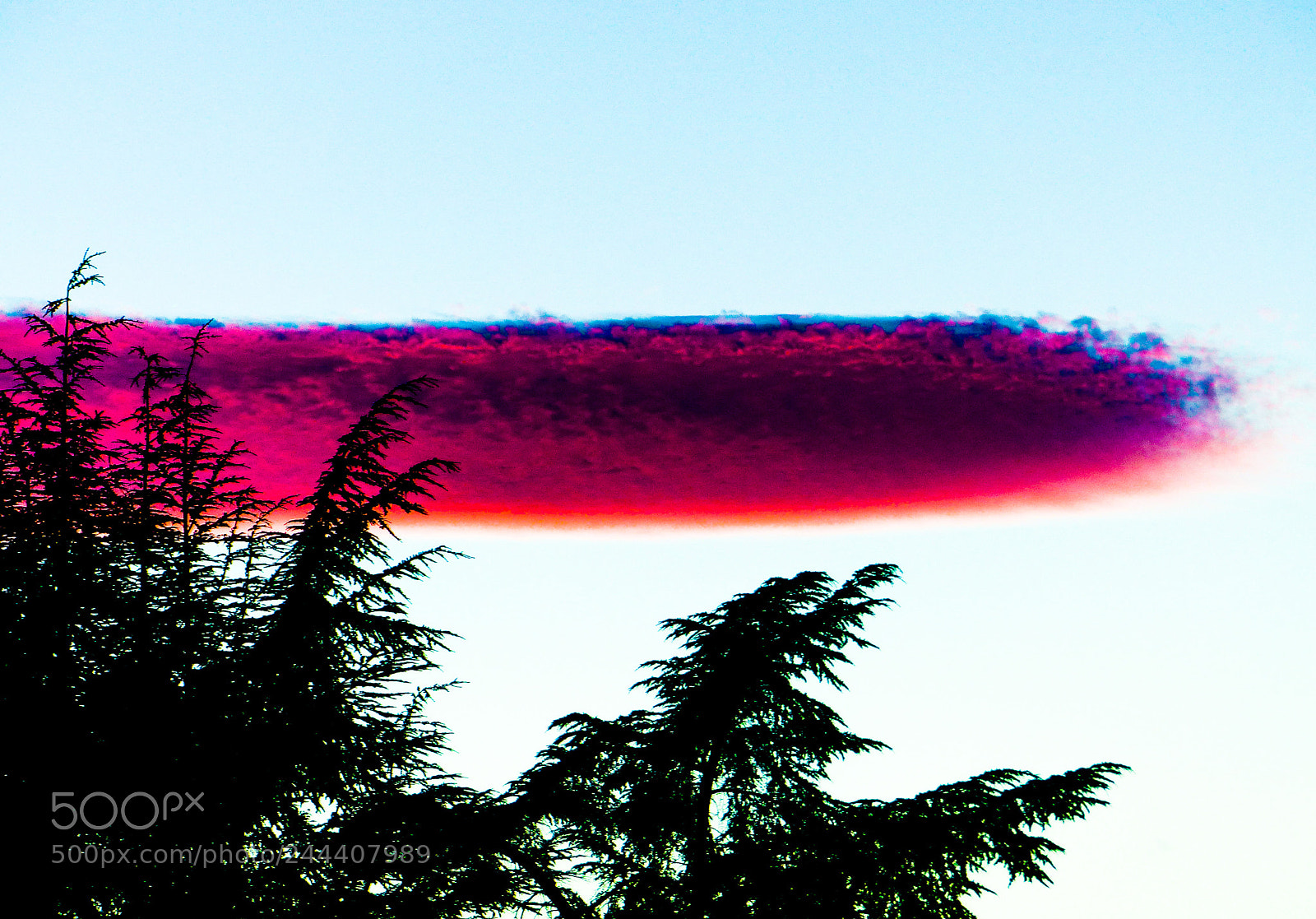 Panasonic Lumix DMC-FZ200 sample photo. Through my window photography