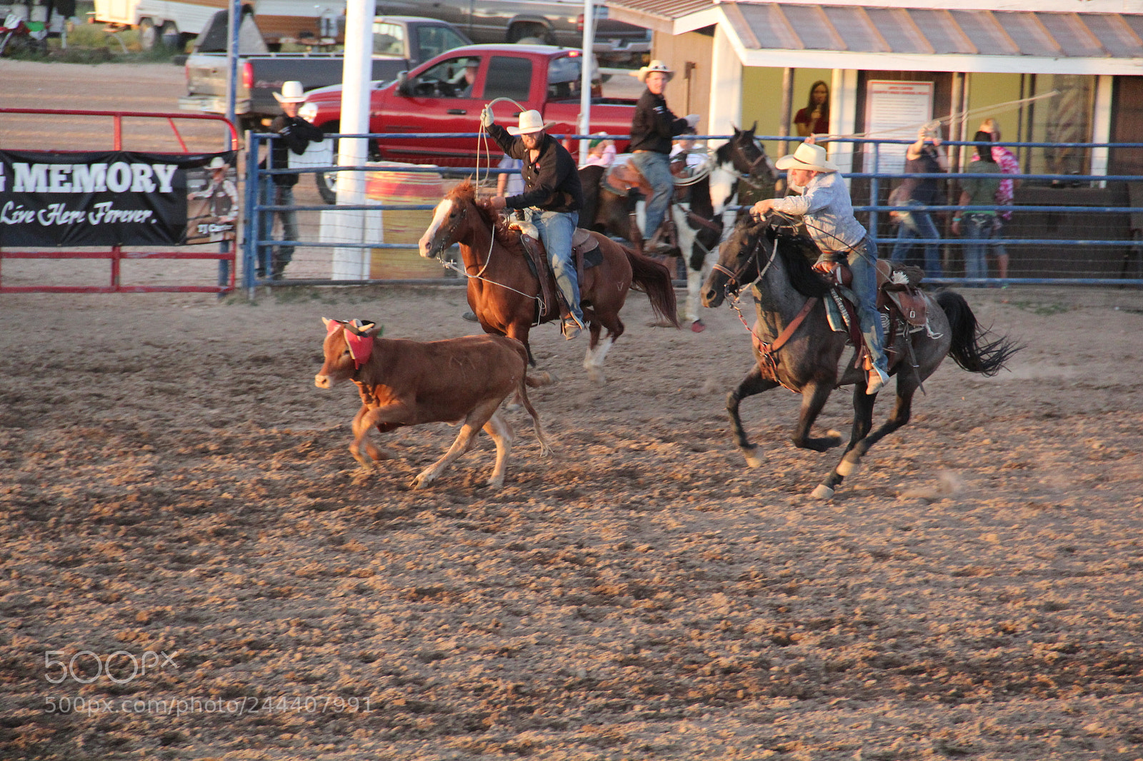 Canon EF-S 18-135mm F3.5-5.6 IS sample photo. Rodeo photography