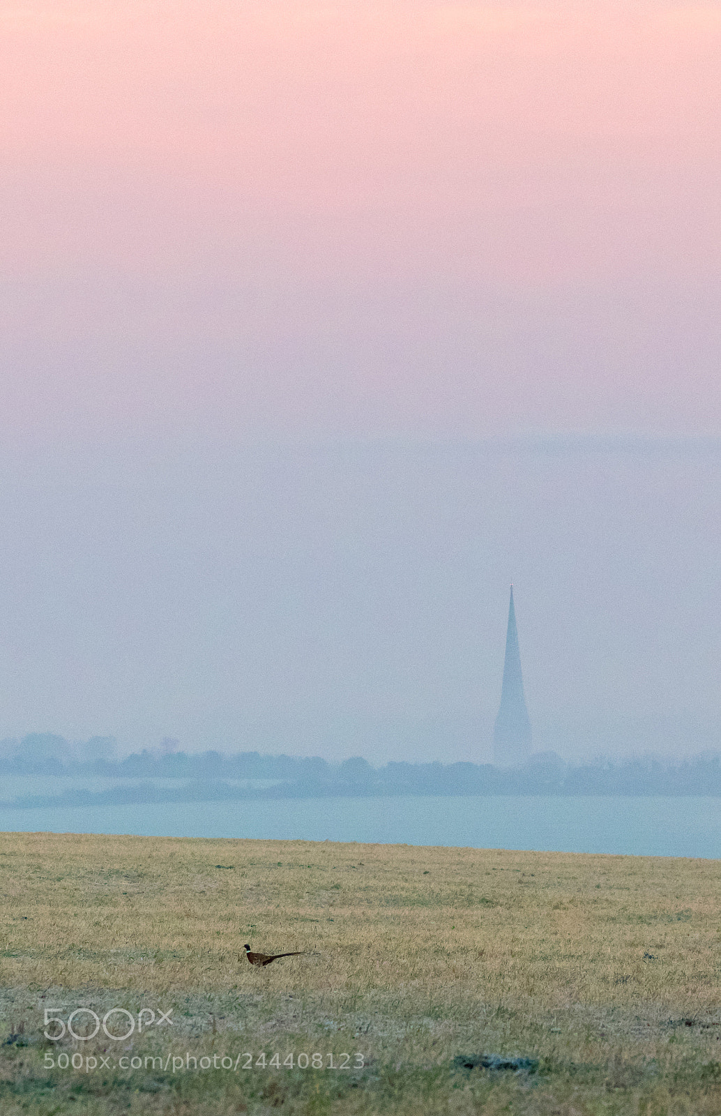 Canon EOS 7D Mark II sample photo. A beautiful start to photography