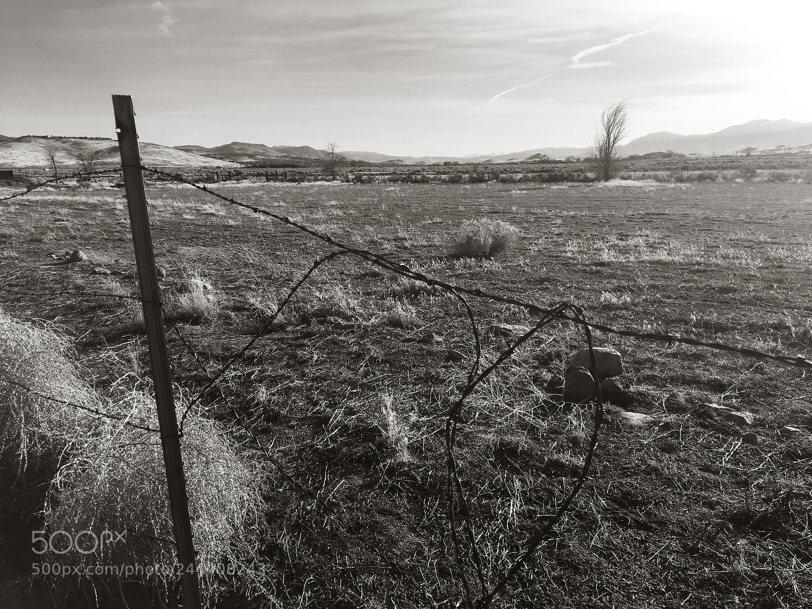 Apple iPhone 6s sample photo. Desert fence photography