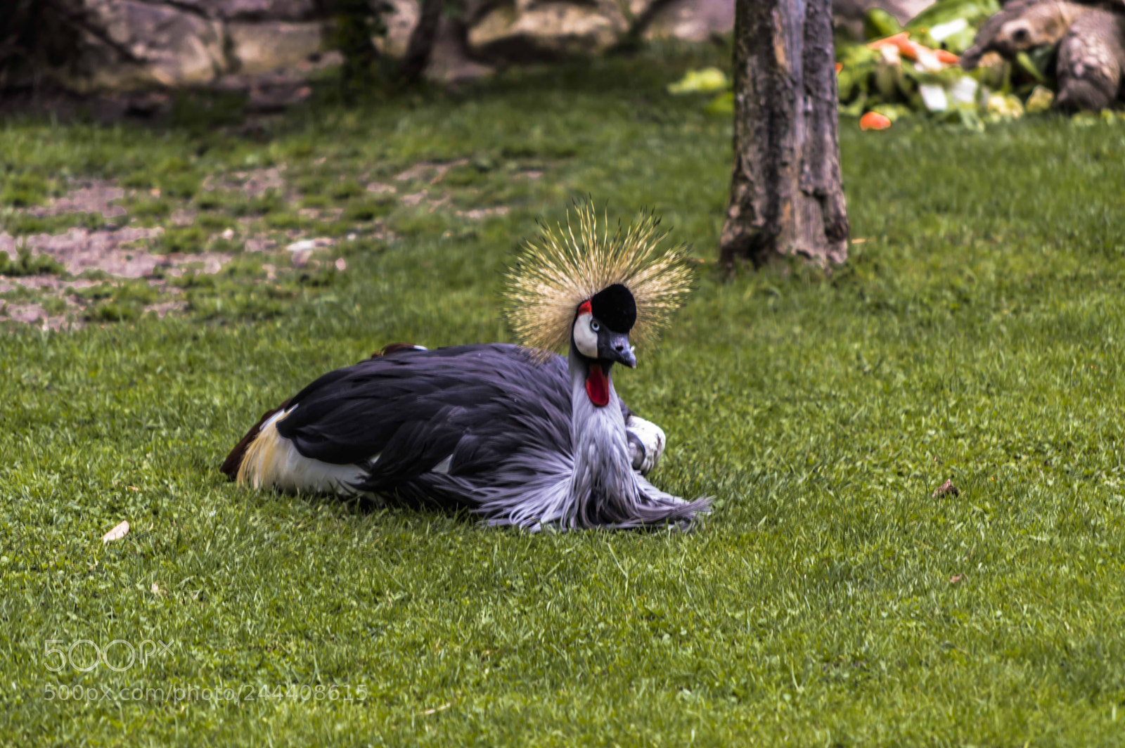 Nikon D3200 sample photo. Animales photography