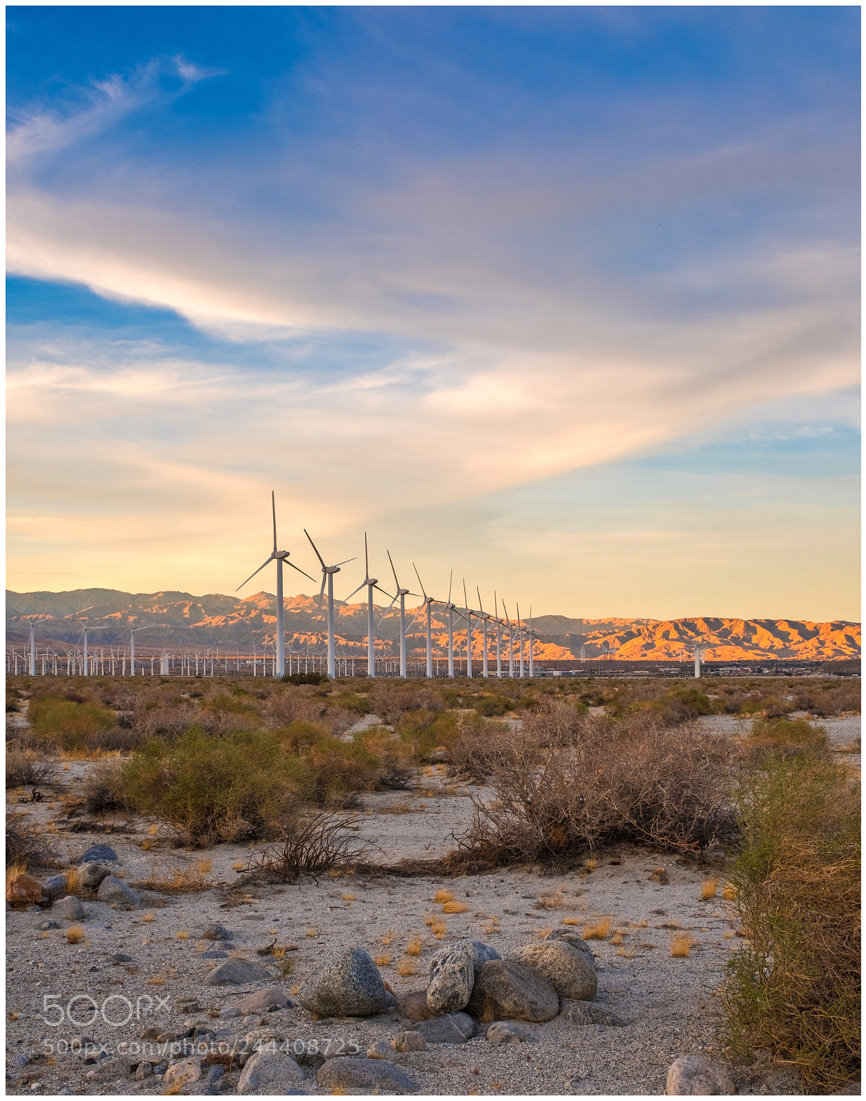 Fujifilm X100F sample photo. Palm springs .ca photography