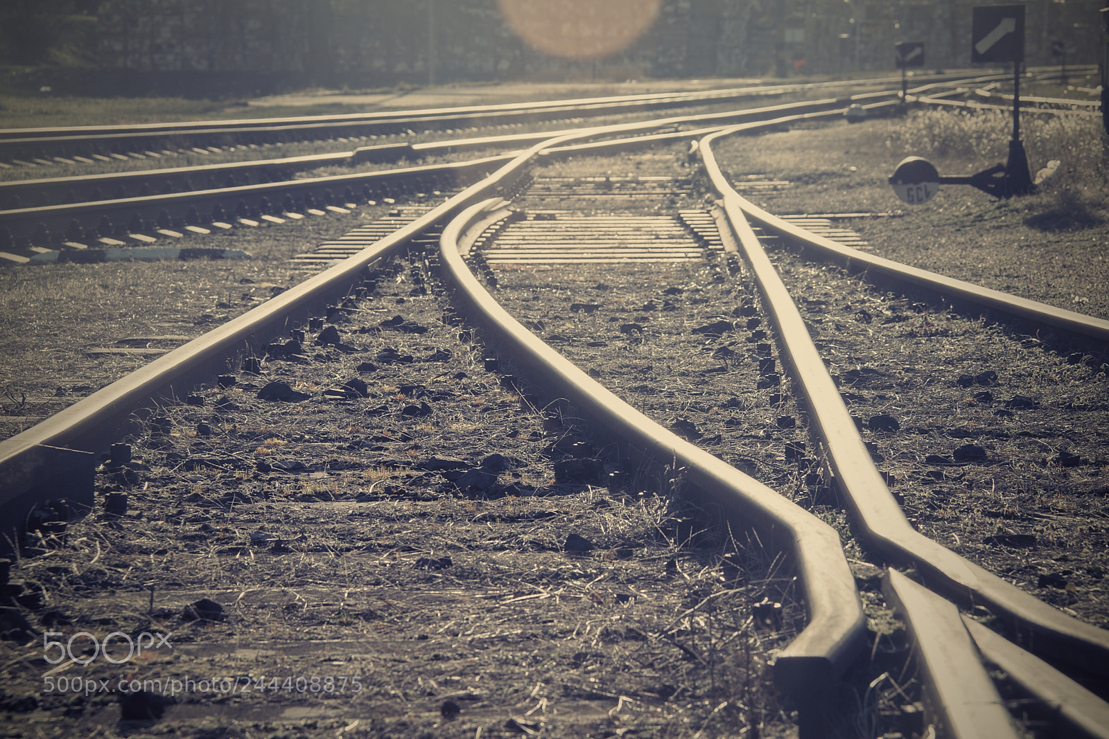 Nikon D810 sample photo. Crossing photography