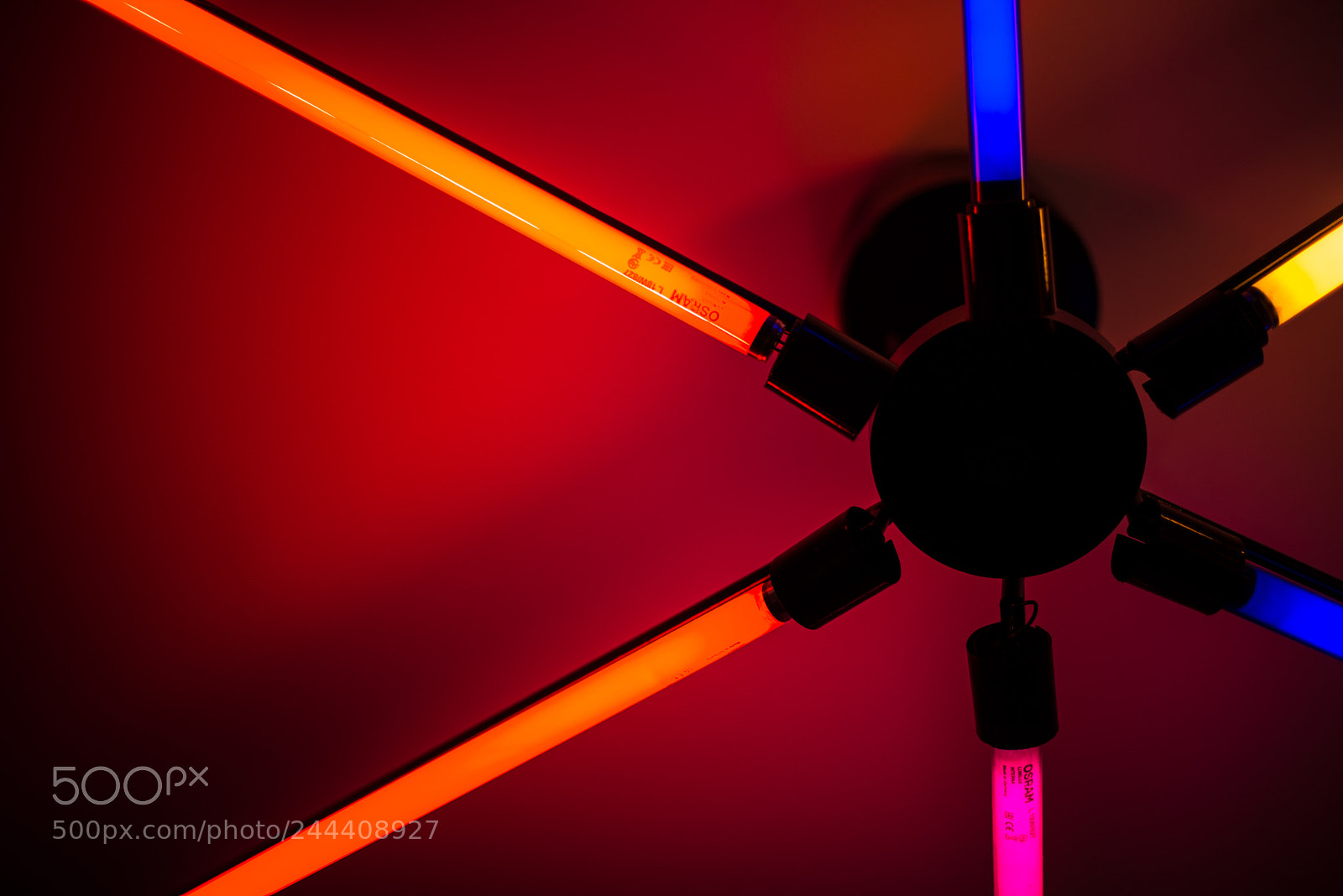 Nikon D610 sample photo. Pizza light photography