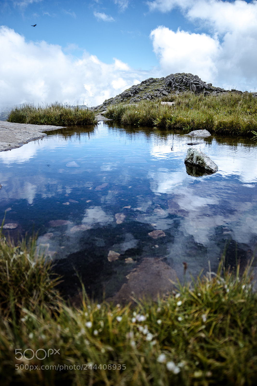 Nikon D7200 sample photo. Reflection photography