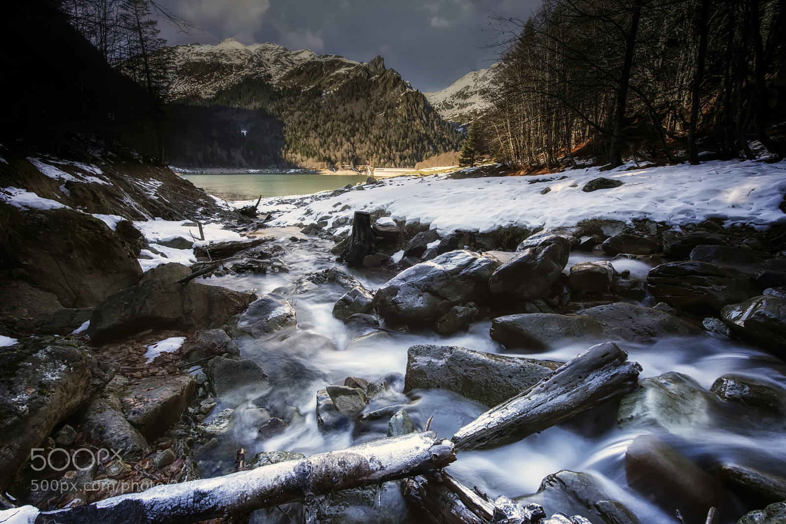 Nikon D610 sample photo. Ice and wood photography