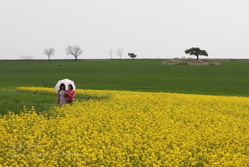 Canon EF 24-70mm F2.8L USM sample photo. Lovely spring photography