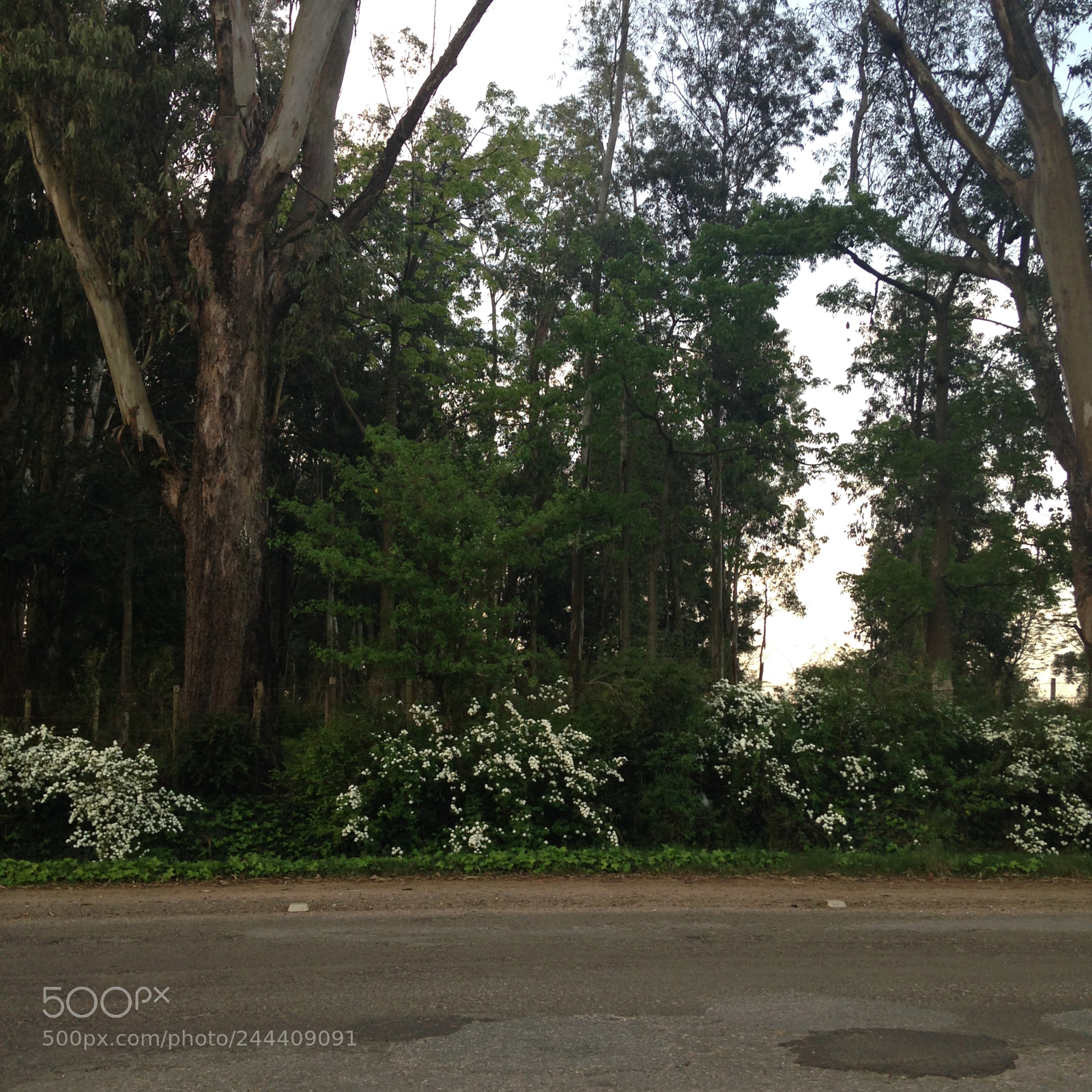 Apple iPhone 5c sample photo. On the road again photography