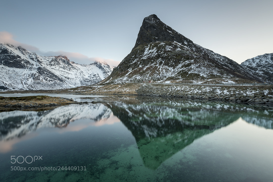 Nikon D850 sample photo. Reflecting in lofoten photography