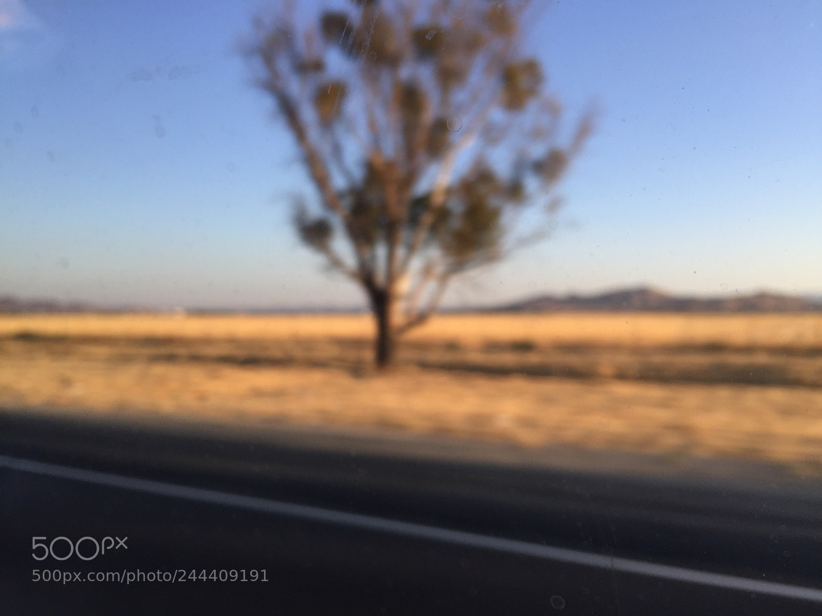 Apple iPhone 6 sample photo. Desert photography
