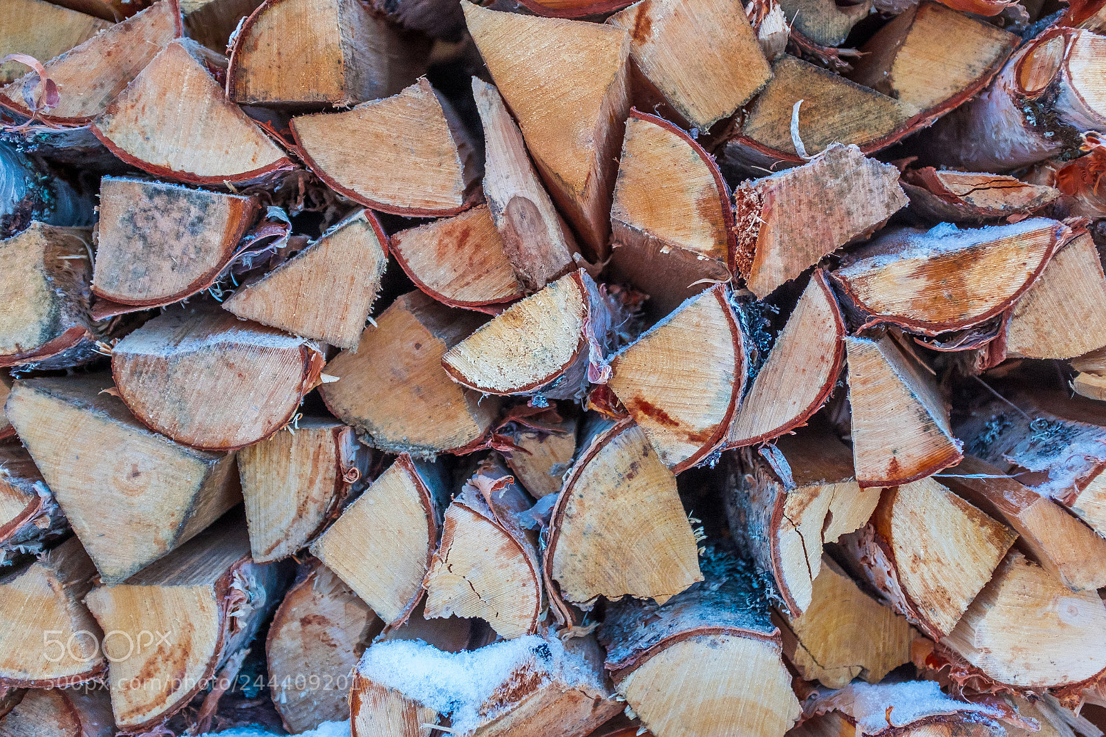 Fujifilm X100S sample photo. Wood photography