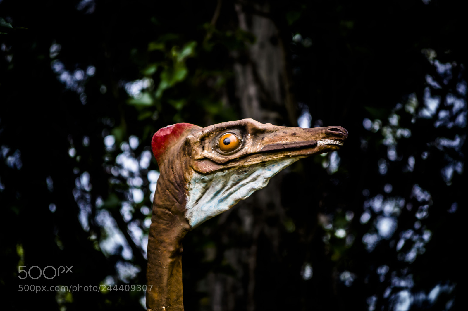 Nikon D3200 sample photo. Fotografia de animales photography
