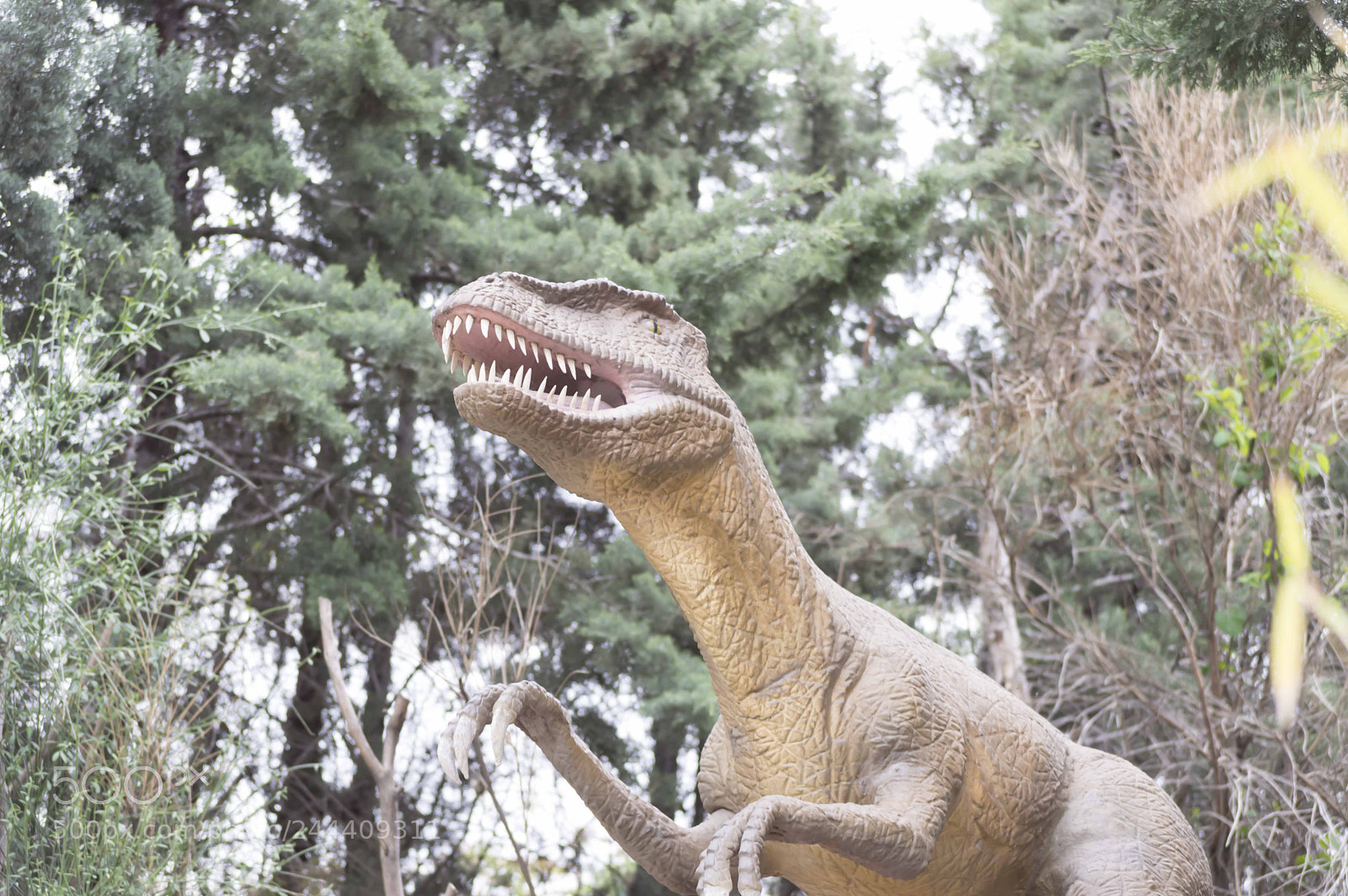 Nikon D3200 sample photo. Fotografia de animales photography