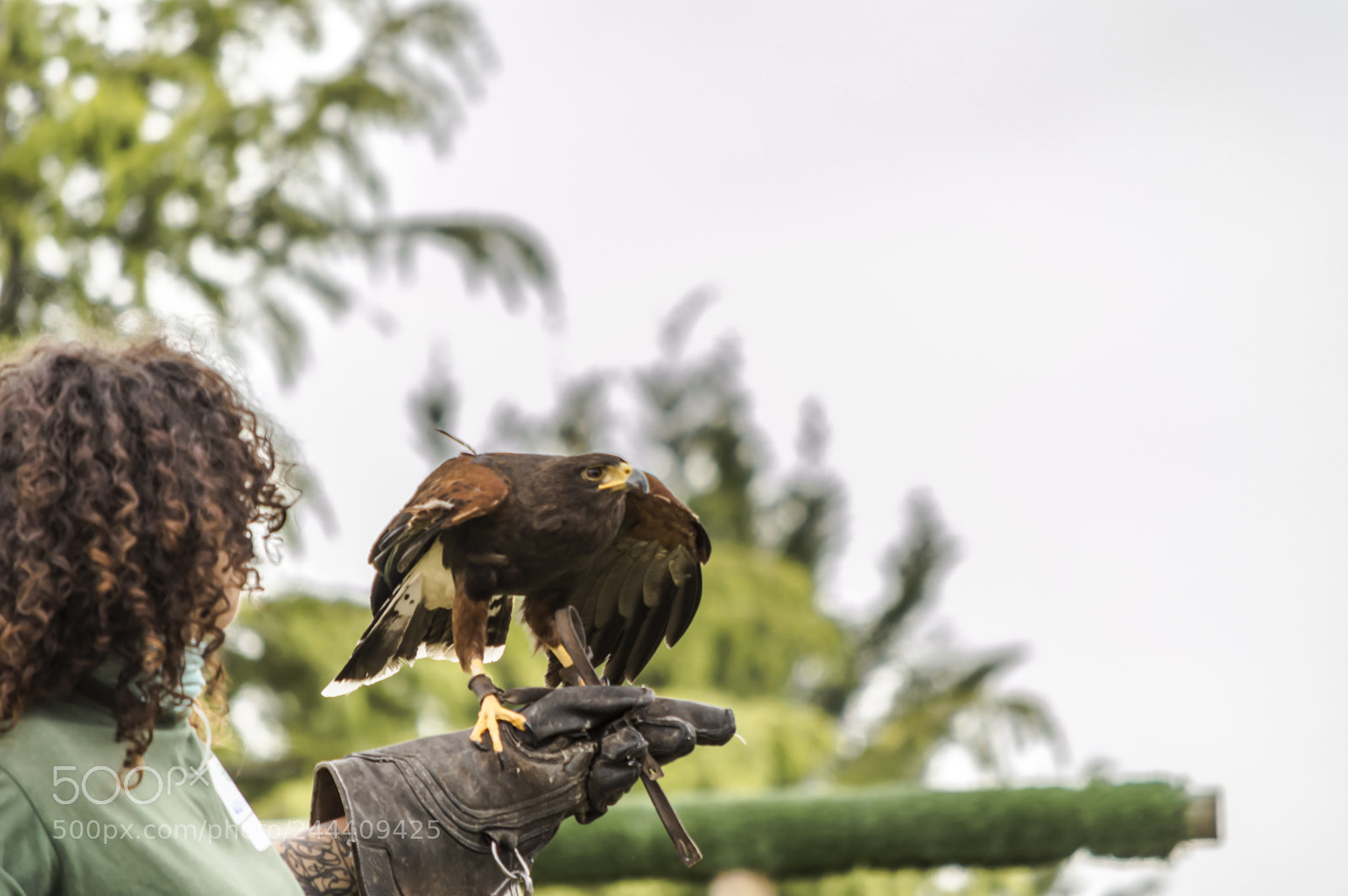 Nikon D3200 sample photo. Fotografia de animales photography