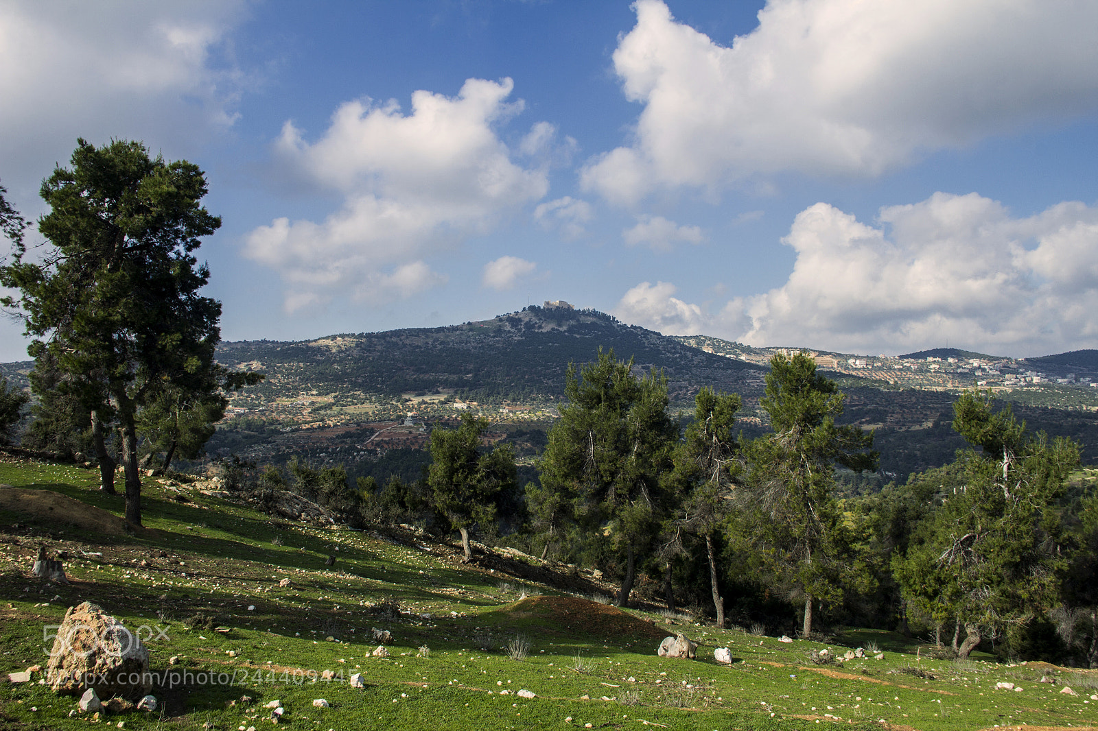 Canon EOS 60D sample photo. Ajloun castle photography