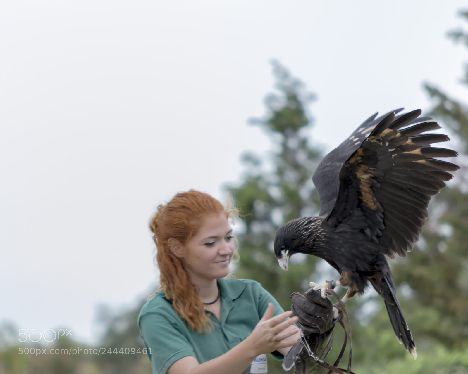 Nikon D3200 sample photo. Fotografia de animales photography