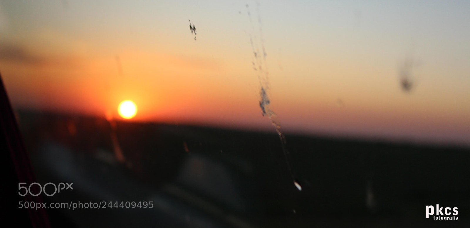 Canon EOS 700D (EOS Rebel T5i / EOS Kiss X7i) sample photo. Ocaso del bicho photography