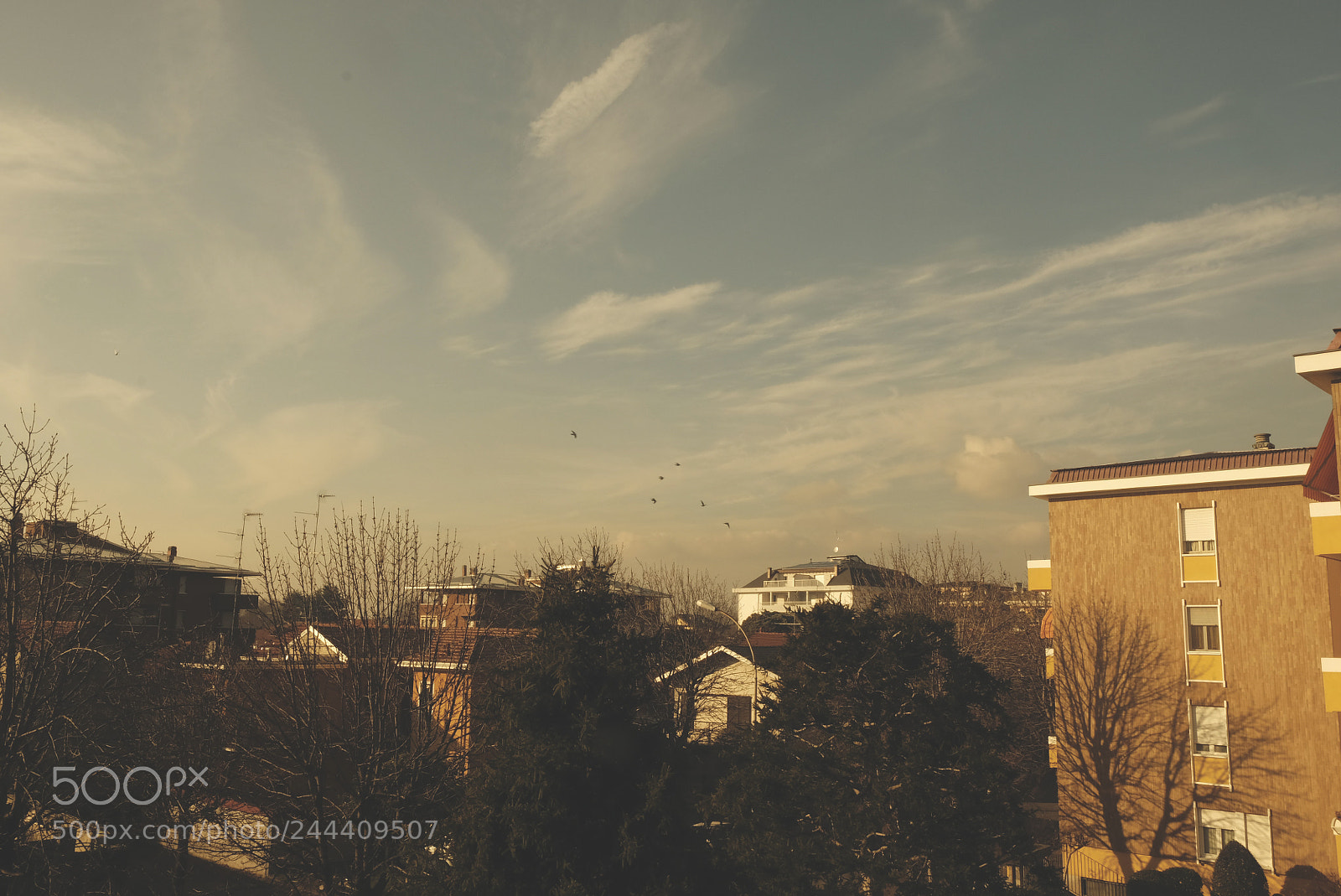 Fujifilm X-T20 sample photo. January photography