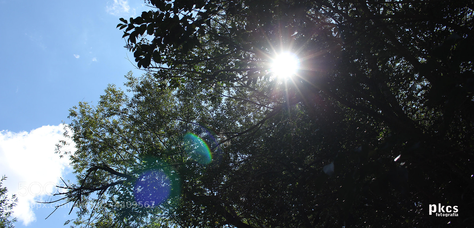 Canon EOS 700D (EOS Rebel T5i / EOS Kiss X7i) sample photo. Natural photography