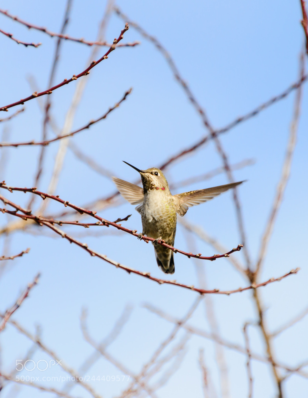 Nikon D800 sample photo. Incoming photography