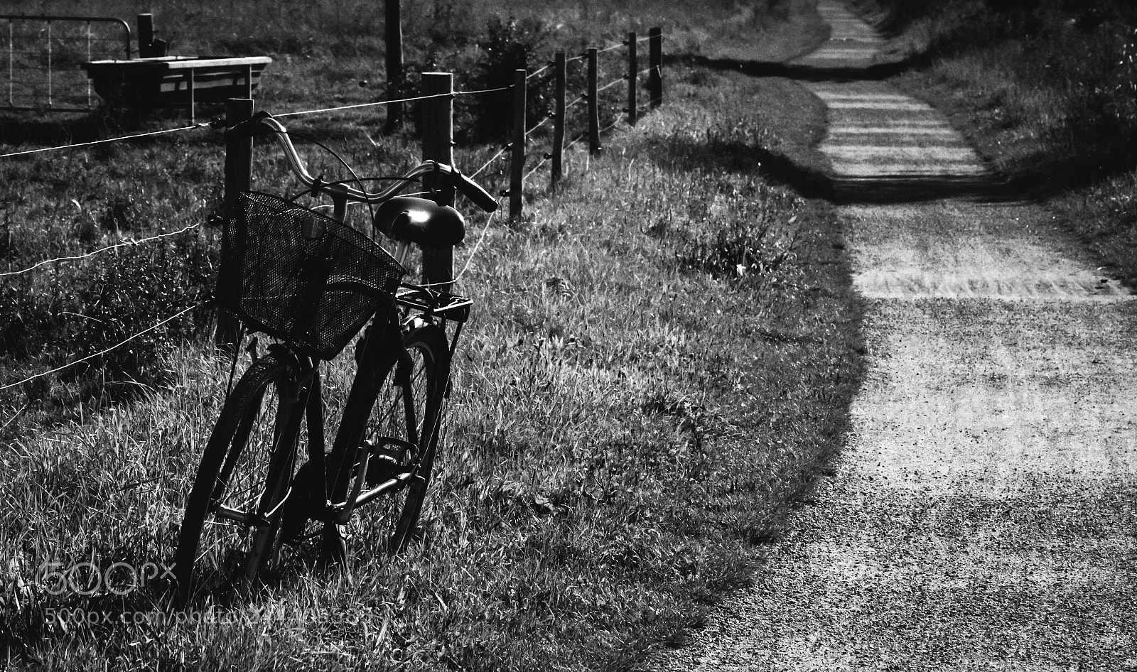 Nikon D3100 sample photo. Fields and wheels photography